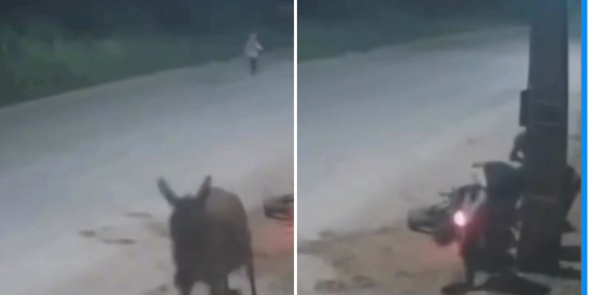 Motociclista é assaltado após se chocar com cavalo em avenida