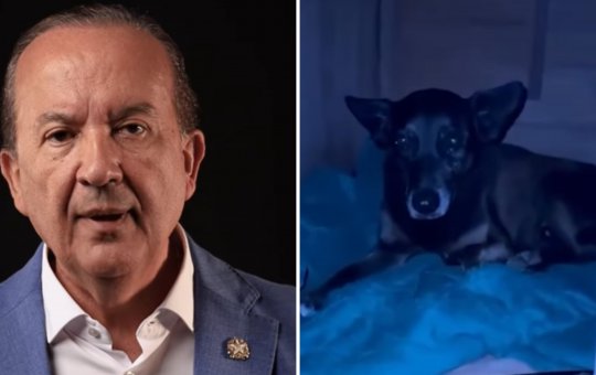 Governador de Santa Catarina se pronuncia sobre a morte do Cão Orelha: 'custei a acreditar'