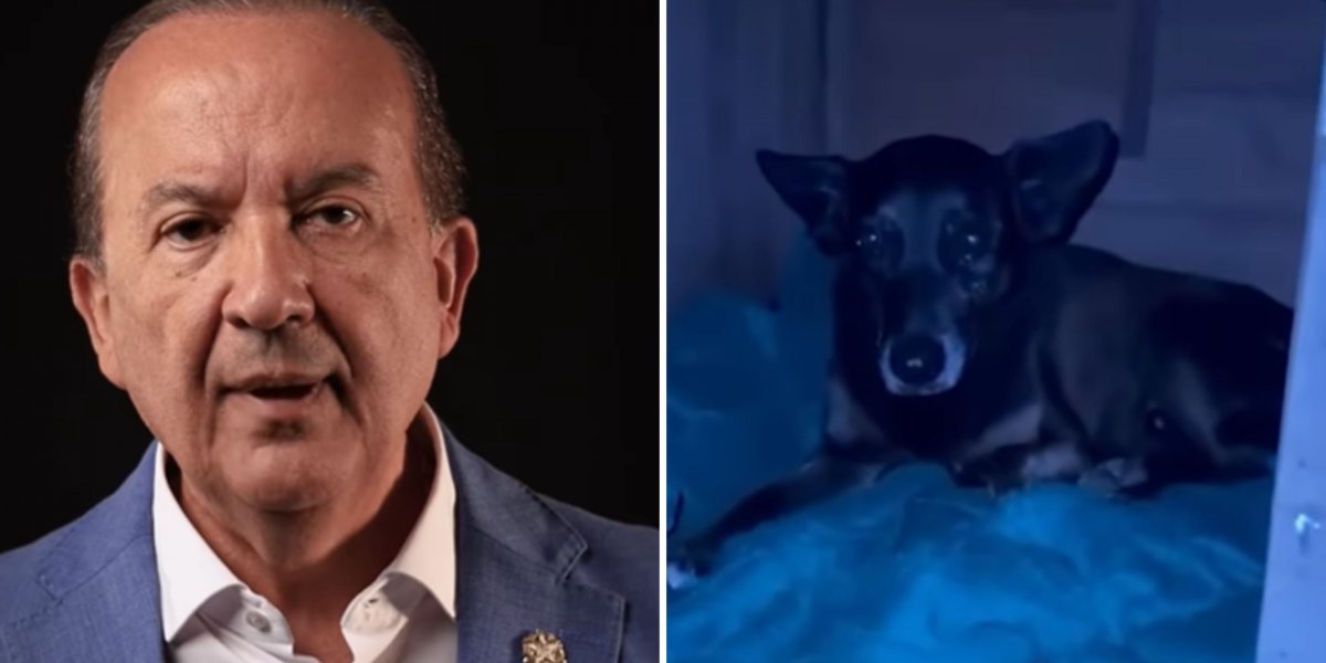 Governador de Santa Catarina se pronuncia sobre a morte do Cão Orelha: 'custei a acreditar'
