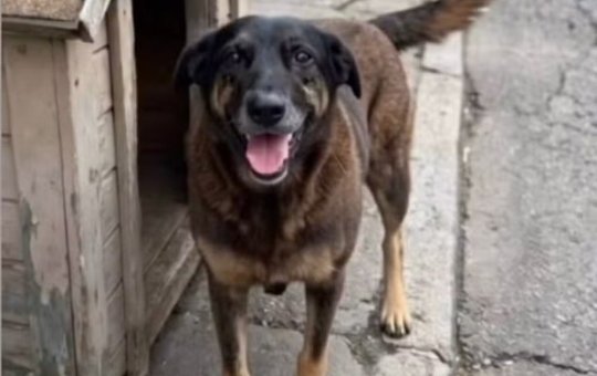 Polícia indicia envolvidos por tentativa de coagir testemunhas