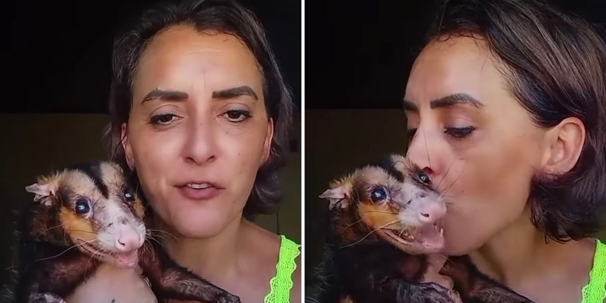 Mulher viraliza ao mostrar gambá como seu animal de estimação