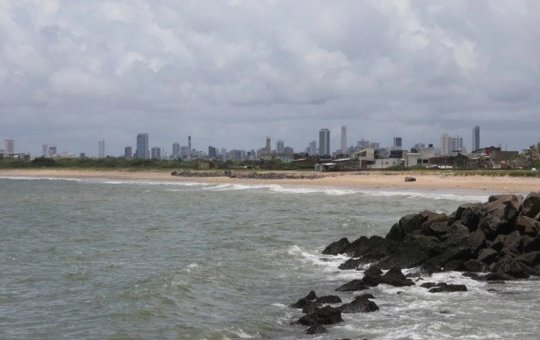 Adolescente morre após ser atacado por tubarão em Pernambuco