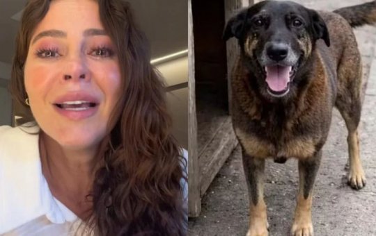 Paolla Oliveira se emociona ao comentar sobre o caso do cão Orelha: "Crueldade"