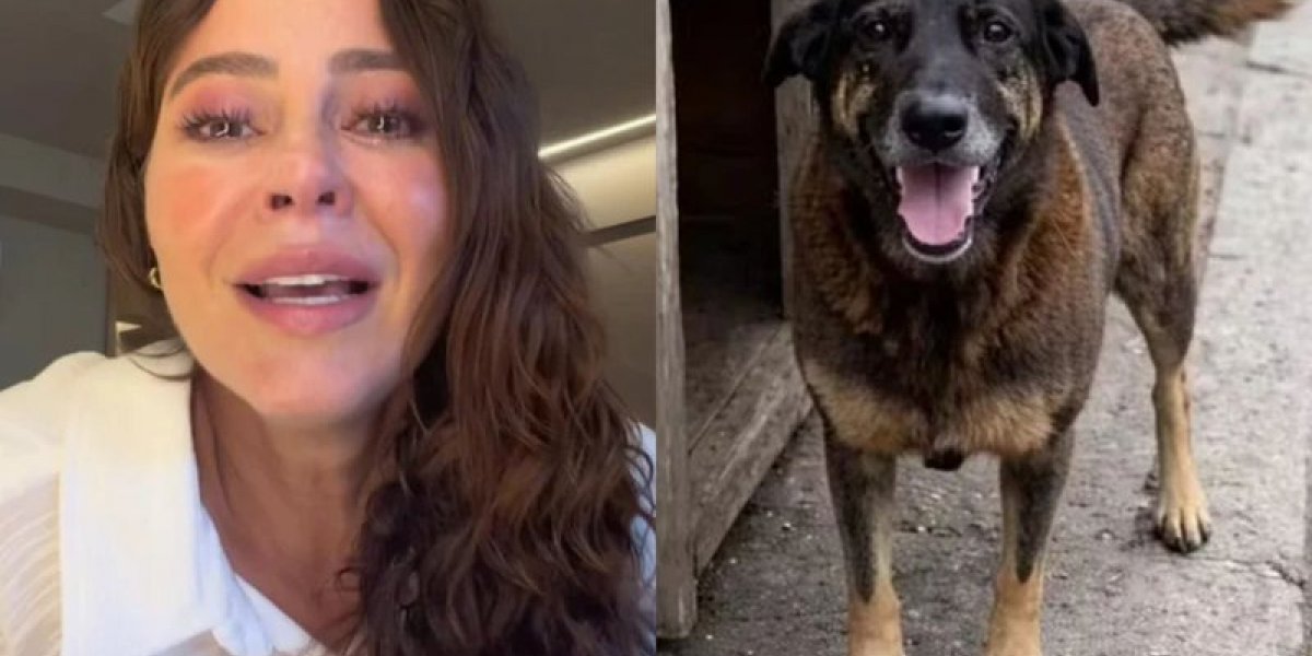 Paolla Oliveira se emociona ao comentar sobre o caso do cão Orelha: "Crueldade"
