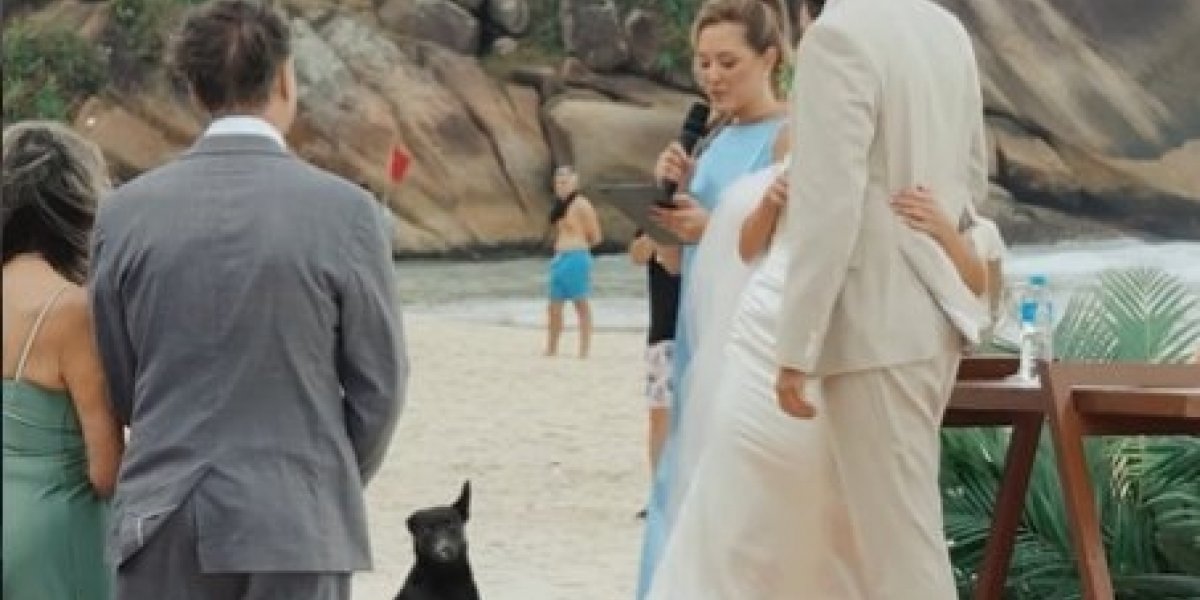 Vídeo mostra Cão Orelha em casamento na região de Praia Brava, em Florianópolis; confira