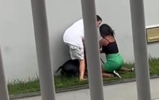 Mulher é agredida por homem após briga entre cães no interior da Bahia 