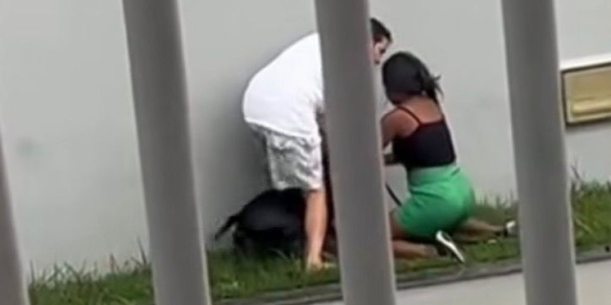 Mulher é agredida por homem após briga entre cães no interior da Bahia 