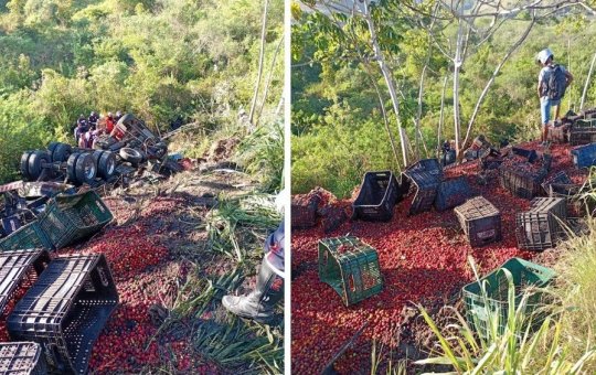 Motorista morre após carreta carregada de acerolas cair de ribanceira