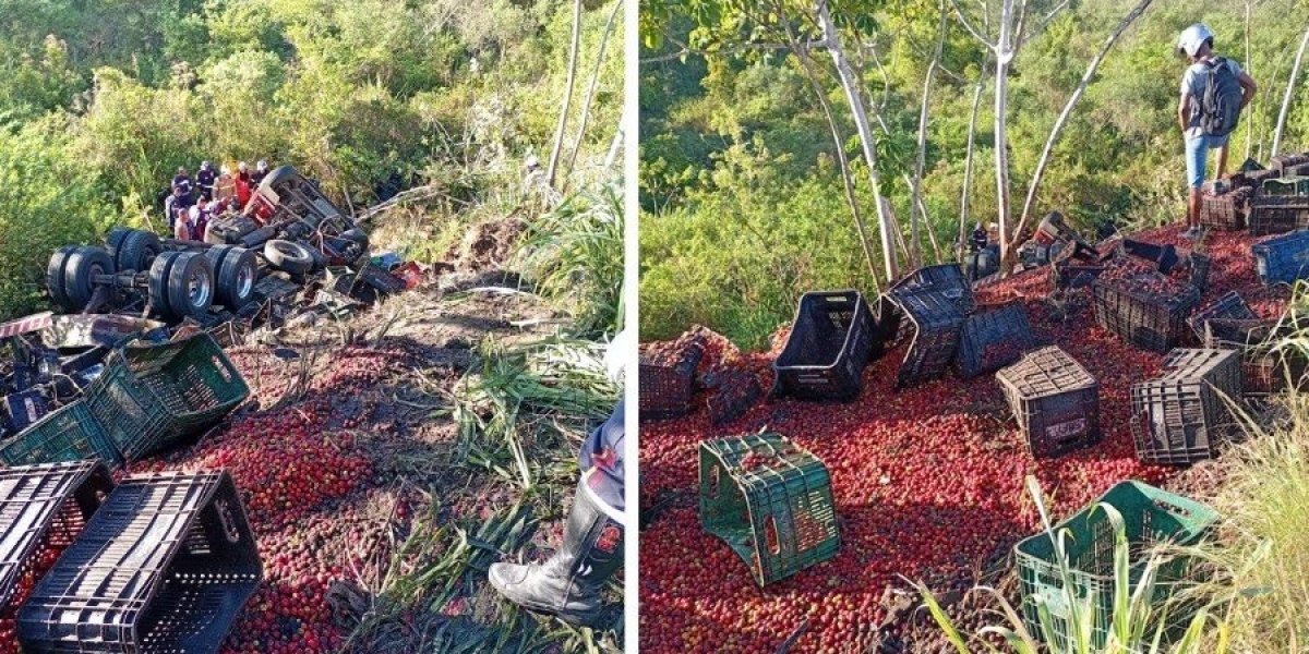 O motorista morreu no local e o passageiro encaminhado ao hospital regional.