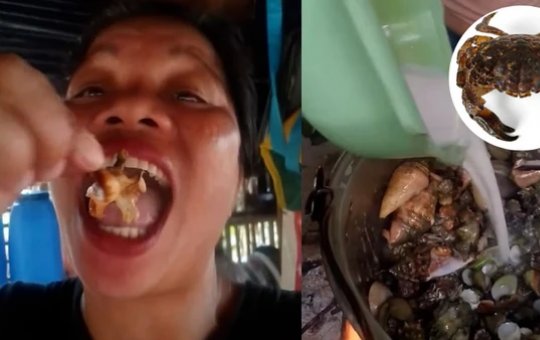 Influenciadora morre após comer “caranguejo do diabo” em gravação nas Filipinas