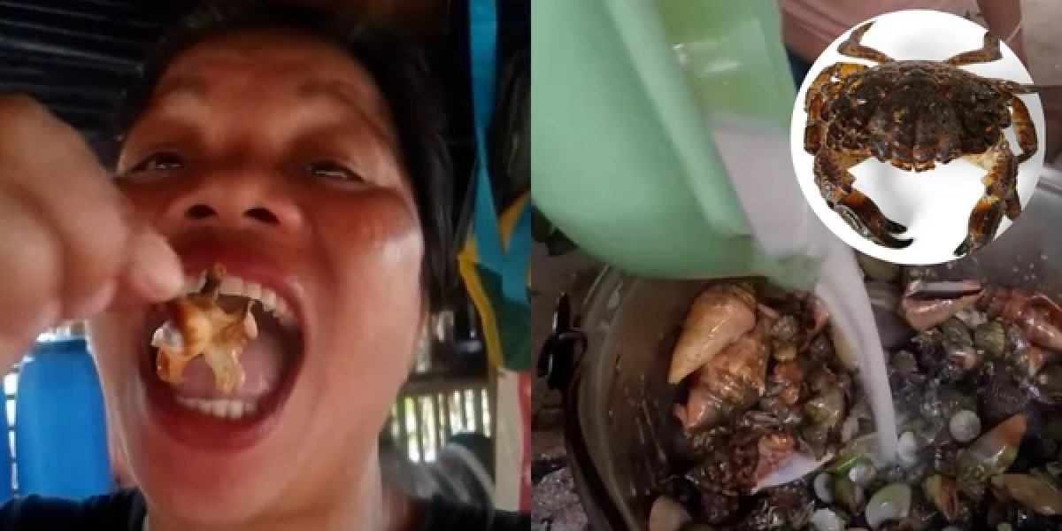Influenciadora morre após comer “caranguejo do diabo” em gravação nas Filipinas