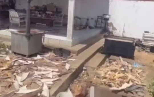 PF apreende 1,5 tonelada de barbatanas de tubarão em operação no norte da Bahia