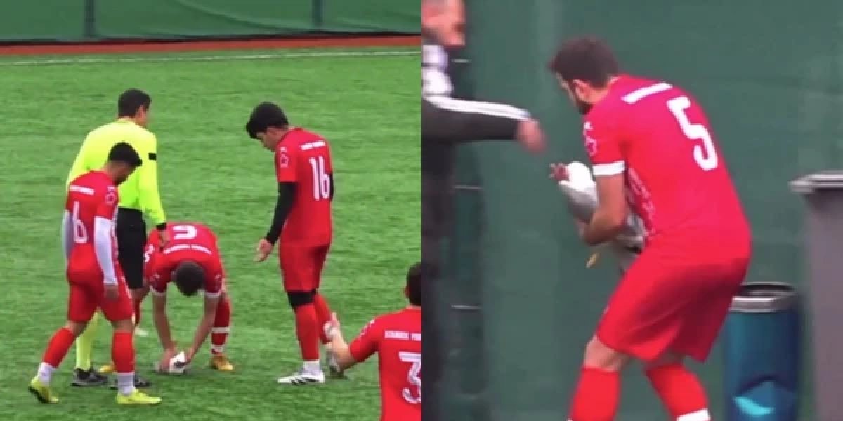 Gaivota é atingida por bola em jogo na Turquia e recebe massagem cardíaca em campo