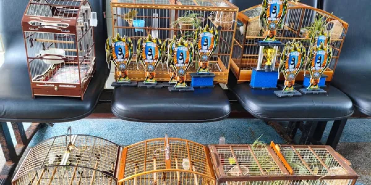 Trio é preso por crime ambiental e aves silvestres são resgatadas na Praia do Flamengo, em Salvador