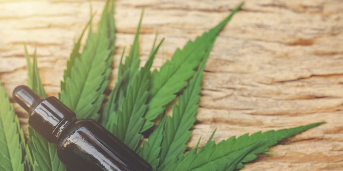 Justiça autoriza cultivo de cannabis medicinal na Chapada Diamantina