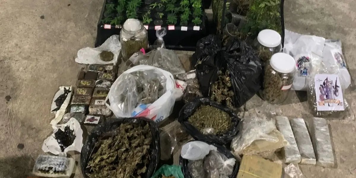 PM encontra estufa de maconha e drogas sintéticas em imóvel no bairro de Pituaçu, em Salvador