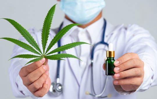 Uso de cannabis medicinal cresce no Brasil, mas acesso ainda enfrenta barreiras legais e financeiras