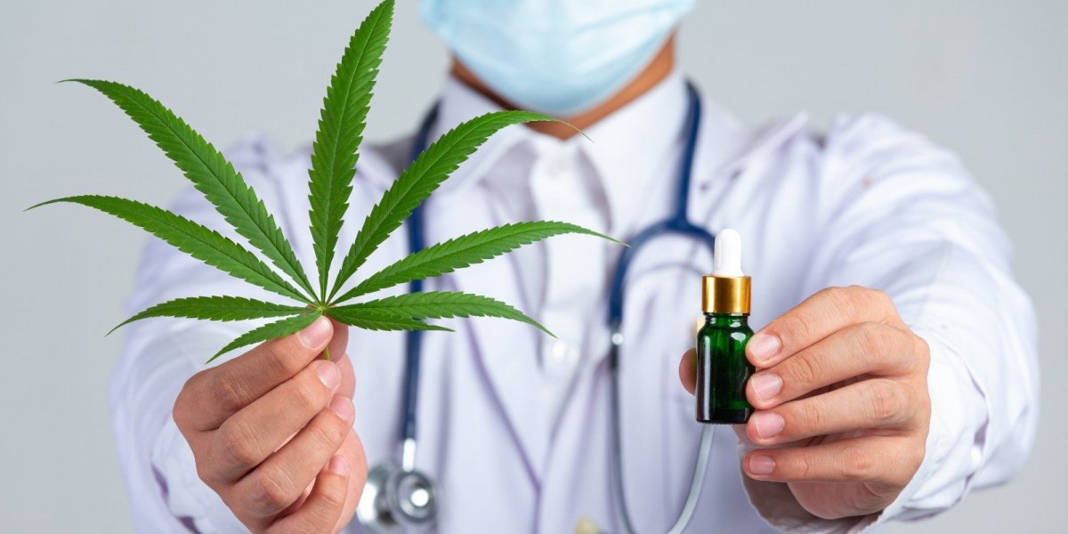 Uso de cannabis medicinal cresce no Brasil, mas acesso ainda enfrenta barreiras legais e financeiras