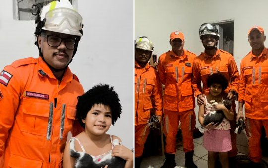 Bombeiros resgatam gata presa na parede por dois dias