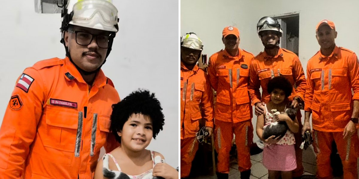 Bombeiros resgatam gata presa na parede por dois dias