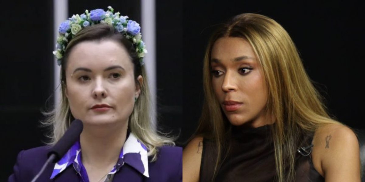 Deputada critica eleição de Erika Hilton para Comissão da Mulher e aciona recurso na Câmara