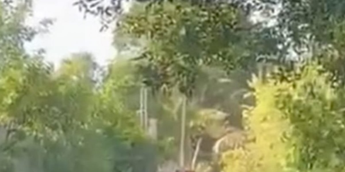 O local onde foi encontrado o Corpo de Thamiris, que estava desaparecida a 7 dias