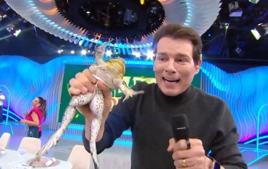 Celso Portiolli vira alvo de críticas por suposto maus-tratos a rã no ‘Domingo Legal’