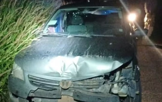 Adolescente aprende a dirigir pela internet, pega carro dos pais e percorre 550 km até gasolina acabar