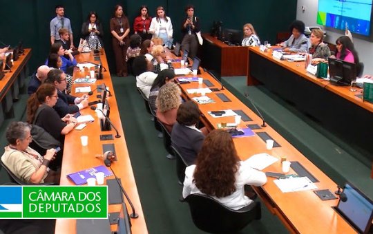Comissão de Defesa dos Direitos da Mulher da Câmara dos Deputados