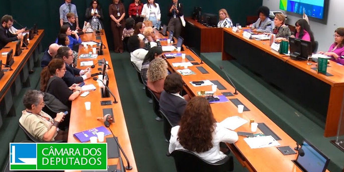 Comissão de Defesa dos Direitos da Mulher da Câmara dos Deputados