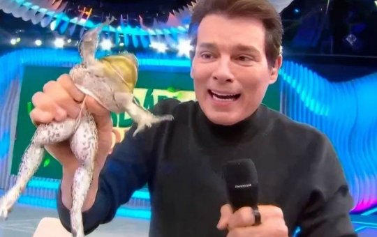 Ministério Público abre investigação sobre maus-tratos animal em programa de Celso Portiolli