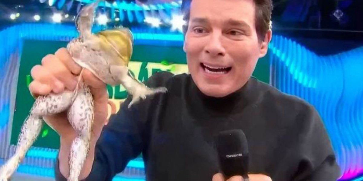 Ministério Público abre investigação sobre maus-tratos animal em programa de Celso Portiolli