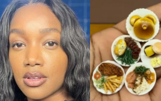 Confecção de miniaturas de pratos completos feita por IZA