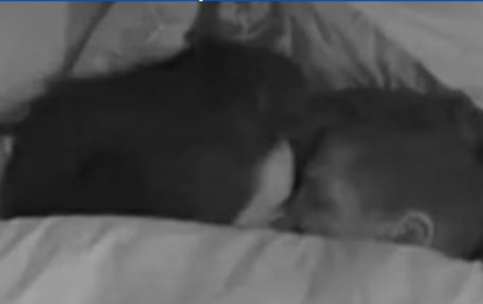 Jordana revela o que aconteceu debaixo do edredom com Jonas: 'Um abraço, um amasso'