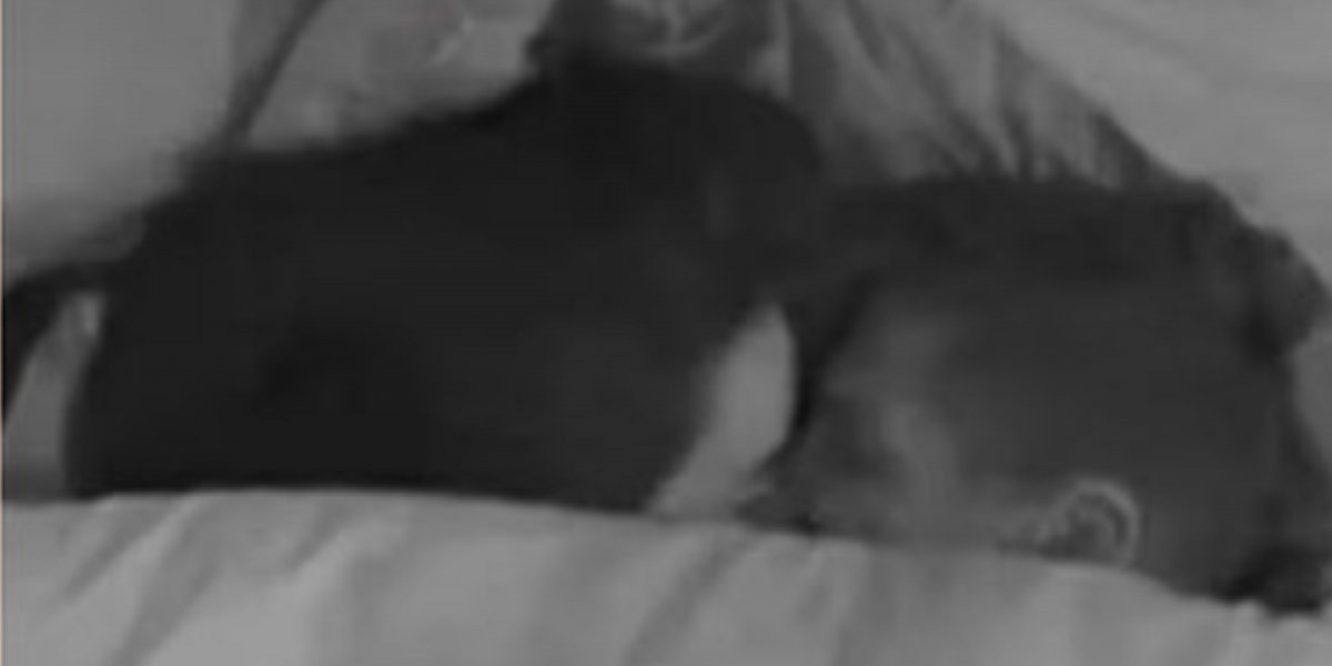 Jordana revela o que aconteceu debaixo do edredom com Jonas: 'Um abraço, um amasso'