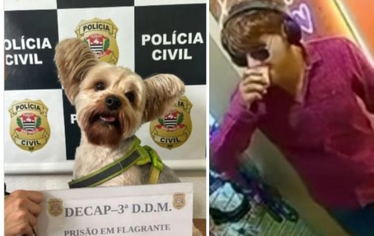 Homem é preso usando máscara realista para furtar cãozinho de ex-namorada