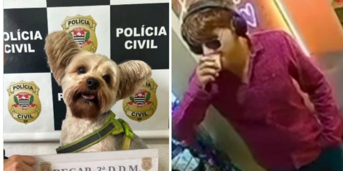 Homem é preso usando máscara realista para furtar cãozinho de ex-namorada