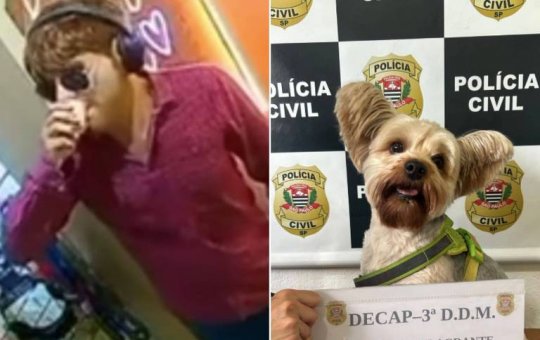Homem usa máscara realista para furtar cachorro da ex-companheira em São Paulo