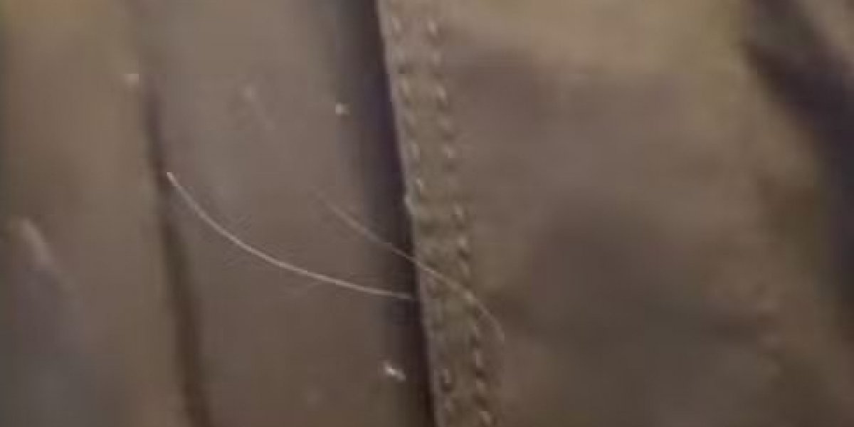 Dona Ruth, mãe de Marília Mendonça, se emociona ao encontrar fio de cabelo da filha em roupa