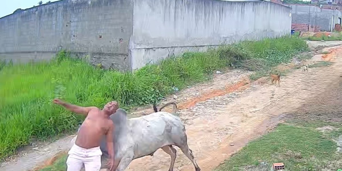 Homem de 53 anos fica ferido após ser arremessado por boi