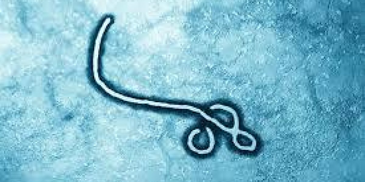 Surto de Ebola na República Democrática do Congo deixa ao menos 130 pessoas mortas