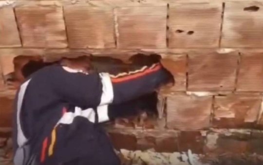 Recém-nascido abandonado entre casas morre após nove paradas cardíacas na Paraíba