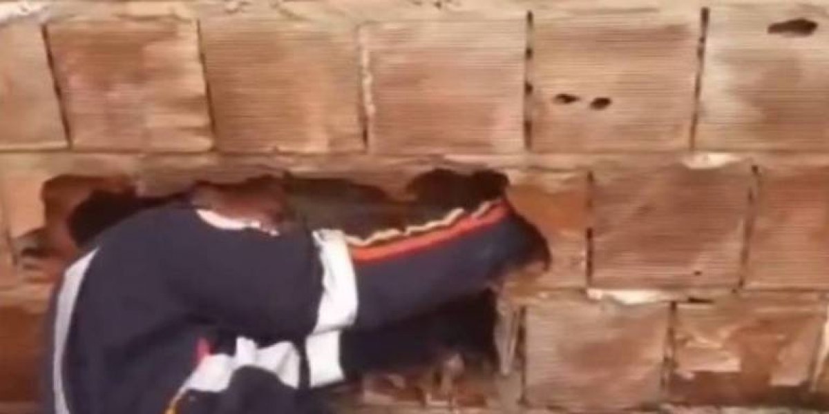 Recém-nascido abandonado entre casas morre após nove paradas cardíacas na Paraíba