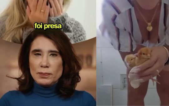 Especialista aponta relação entre violência contra animais e comportamentos perigosos