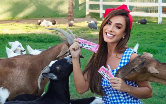 Nicole Bahls anuncia novo projeto em sua propriedade: "Resolvi fazer um restaurante"