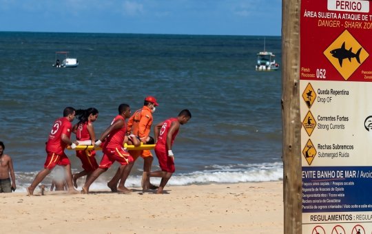 Tubarão morde criança de 11 anos em praia do Grande Recife; veja vídeo