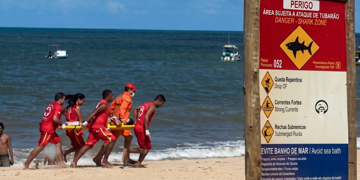Tubarão morde criança de 11 anos em praia do Grande Recife; veja vídeo