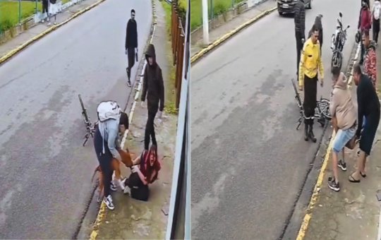 Imagens mostram pitbull atacando menina em Imbituba; animal foi imobilizado de forma correta