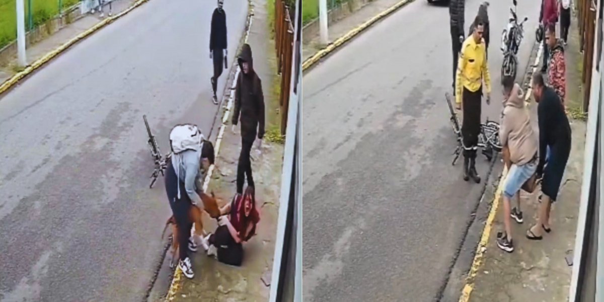 Imagens mostram pitbull atacando menina em Imbituba; animal foi imobilizado de forma correta