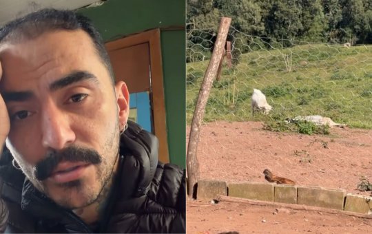 Influenciador que filmou suposto OVNI denuncia morte de animal da sua fazenda: 'Vocês são horríveis'